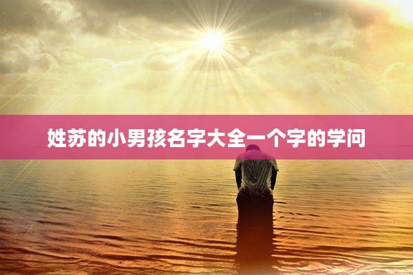 姓苏的小男孩名字大全一个字的学问