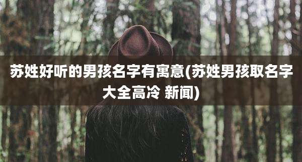 苏姓好听的男孩名字有寓意(苏姓男孩取名字大全高冷 新闻)