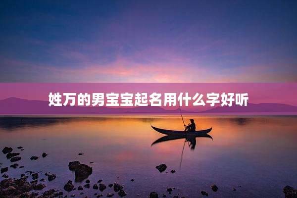 姓万的男宝宝起名用什么字好听