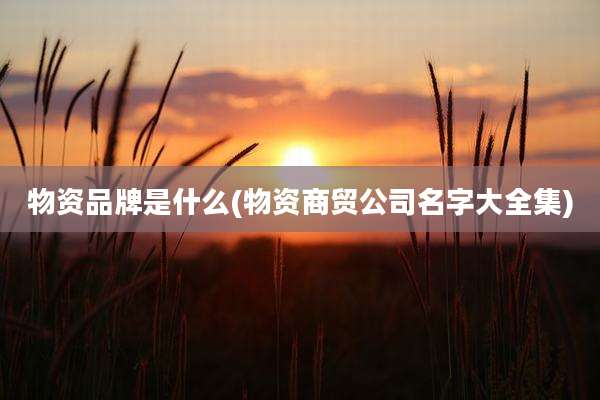 物资品牌是什么(物资商贸公司名字大全集)