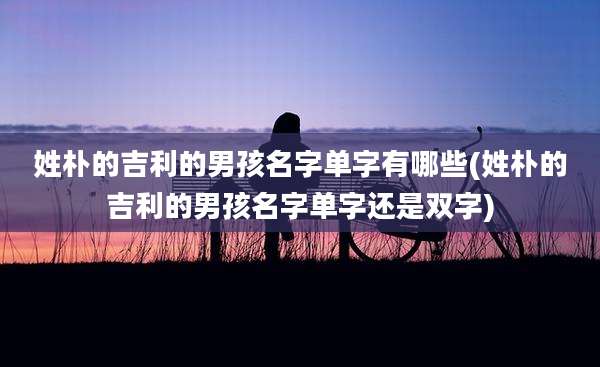 姓朴的吉利的男孩名字单字有哪些(姓朴的吉利的男孩名字单字还是双字)