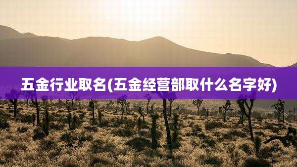 五金行业取名(五金经营部取什么名字好)