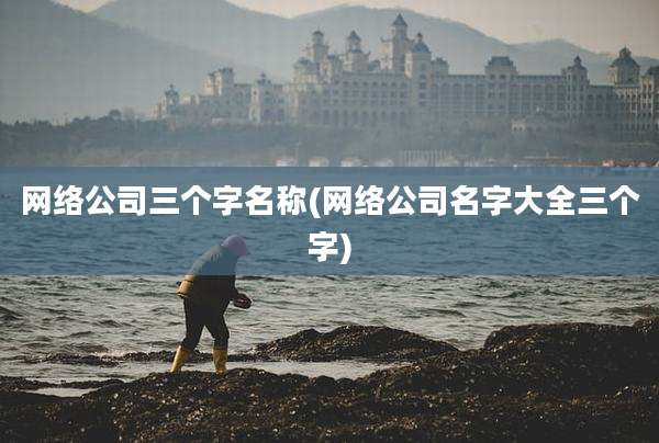 网络公司三个字名称(网络公司名字大全三个字)