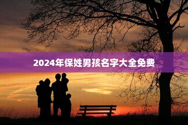 2024年保姓男孩名字大全免费
