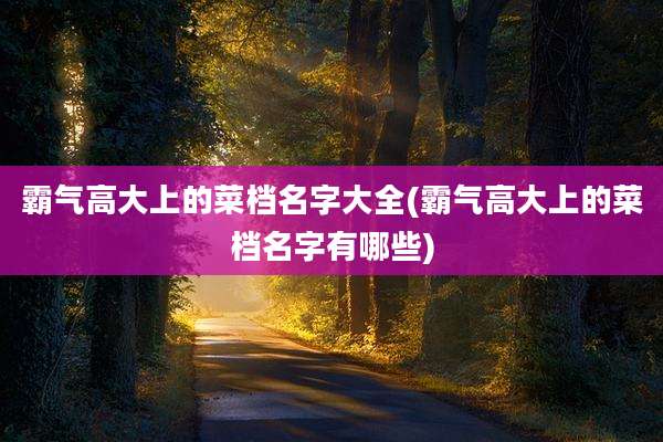 霸气高大上的菜档名字大全(霸气高大上的菜档名字有哪些)