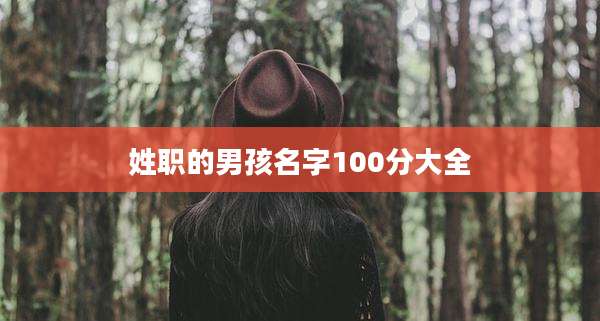 姓职的男孩名字100分大全