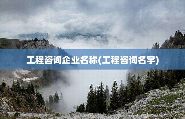 工程咨询企业名称(工程咨询名字)