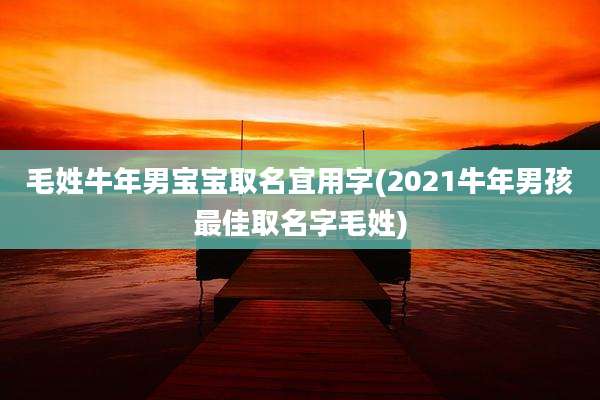 毛姓牛年男宝宝取名宜用字(2021牛年男孩最佳取名字毛姓)