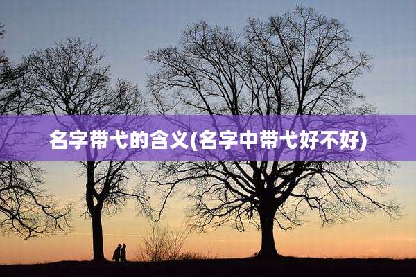 名字带弋的含义(名字中带弋好不好)