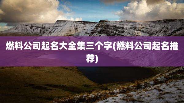 燃料公司起名大全集三个字(燃料公司起名推荐)