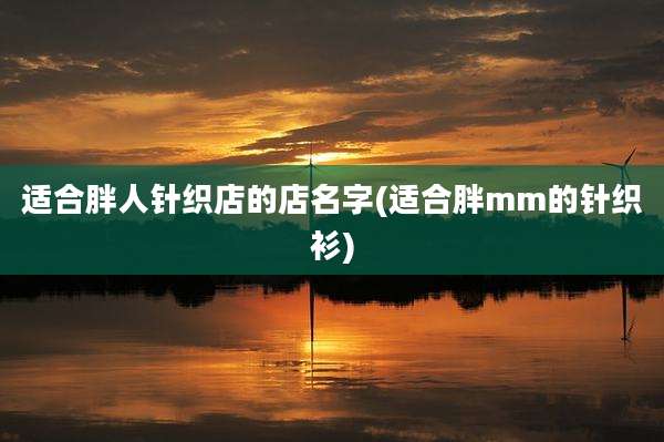 适合胖人针织店的店名字(适合胖mm的针织衫)