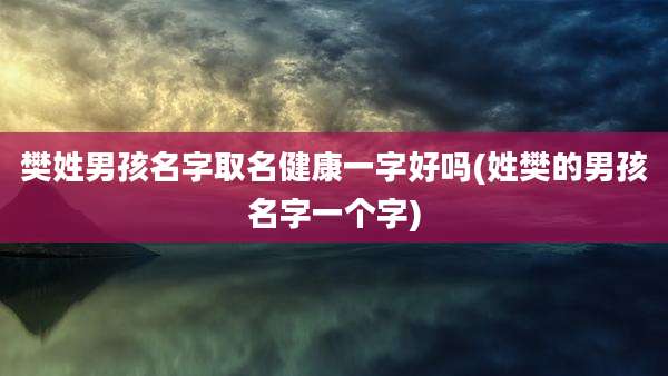 樊姓男孩名字取名健康一字好吗(姓樊的男孩名字一个字)