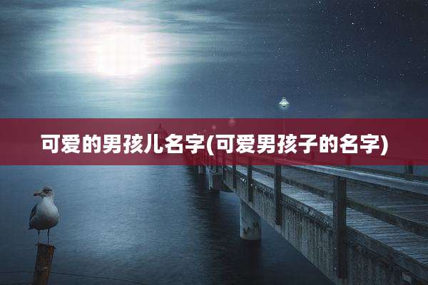 可爱的男孩儿名字(可爱男孩子的名字)