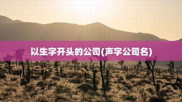 以生字开头的公司(声字公司名)
