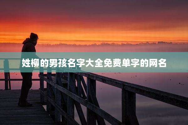 姓柳的男孩名字大全免费单字的网名