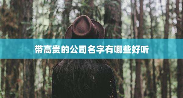 带高贵的公司名字有哪些好听