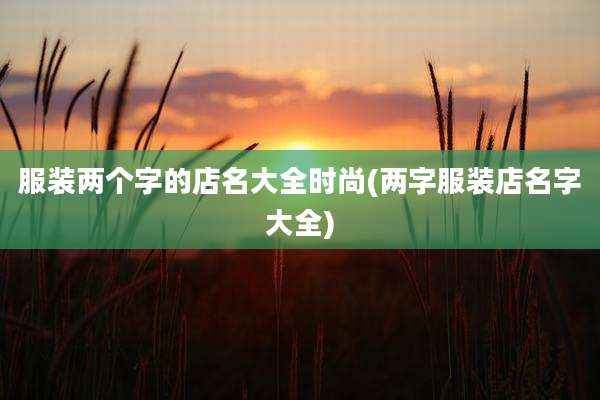 服装两个字的店名大全时尚(两字服装店名字大全)