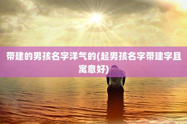 带建的男孩名字洋气的(起男孩名字带建字且寓意好)