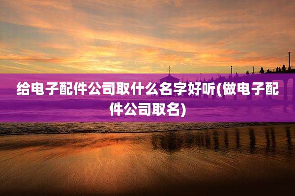 给电子配件公司取什么名字好听(做电子配件公司取名)