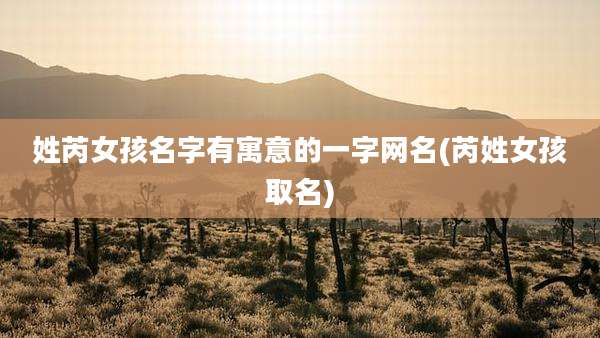 姓芮女孩名字有寓意的一字网名(芮姓女孩取名)