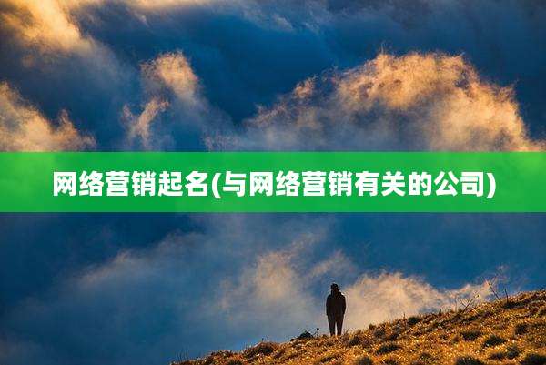 网络营销起名(与网络营销有关的公司)