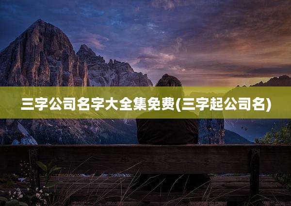 三字公司名字大全集免费(三字起公司名)