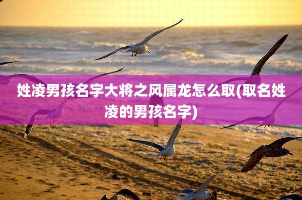 姓凌男孩名字大将之风属龙怎么取(取名姓凌的男孩名字)