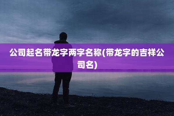 公司起名带龙字两字名称(带龙字的吉祥公司名)