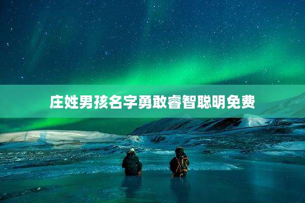 庄姓男孩名字勇敢睿智聪明免费