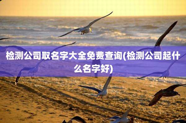 检测公司取名字大全免费查询(检测公司起什么名字好)