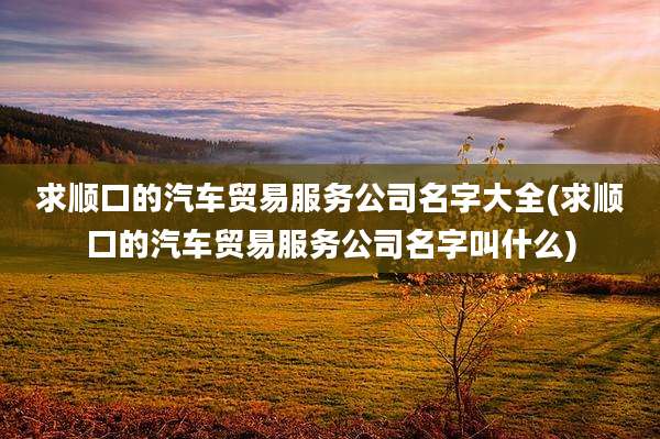 求顺口的汽车贸易服务公司名字大全(求顺口的汽车贸易服务公司名字叫什么)