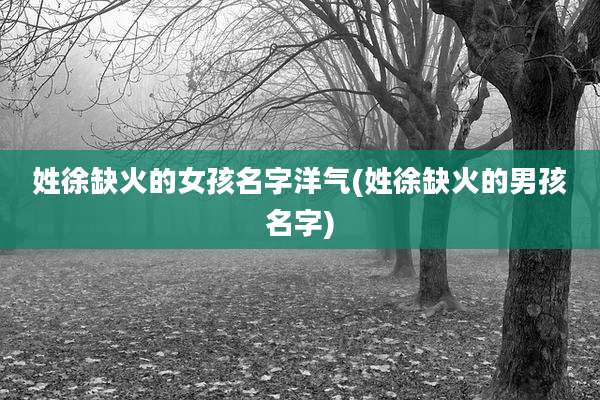 姓徐缺火的女孩名字洋气(姓徐缺火的男孩名字)