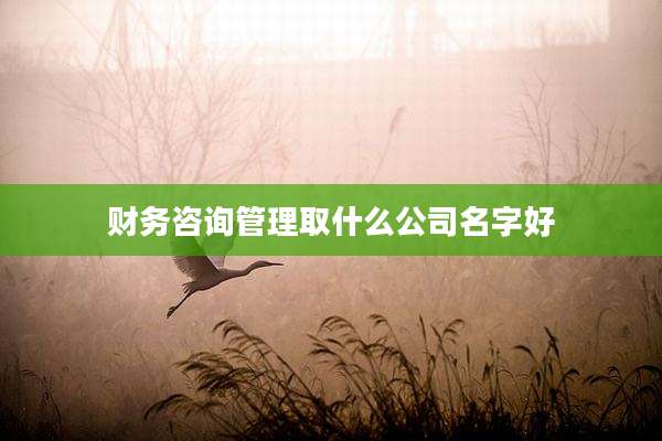 财务咨询管理取什么公司名字好