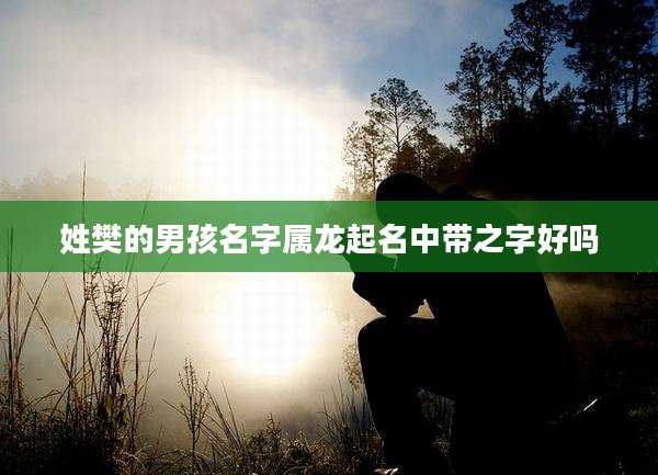姓樊的男孩名字属龙起名中带之字好吗