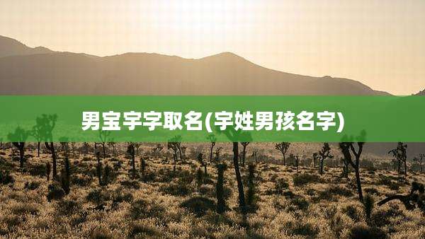 男宝宇字取名(宇姓男孩名字)