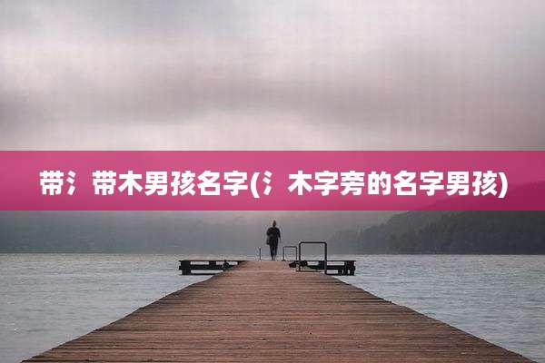 带氵带木男孩名字(氵木字旁的名字男孩)