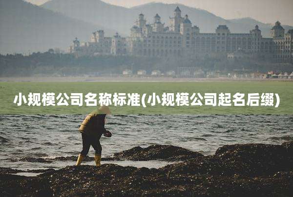 小规模公司名称标准(小规模公司起名后缀)