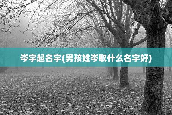 岑字起名字(男孩姓岑取什么名字好)
