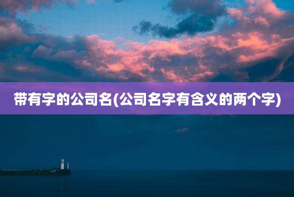 带有字的公司名(公司名字有含义的两个字)