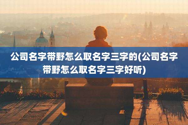 公司名字带野怎么取名字三字的(公司名字带野怎么取名字三字好听)