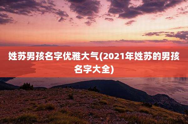 姓苏男孩名字优雅大气(2021年姓苏的男孩名字大全)