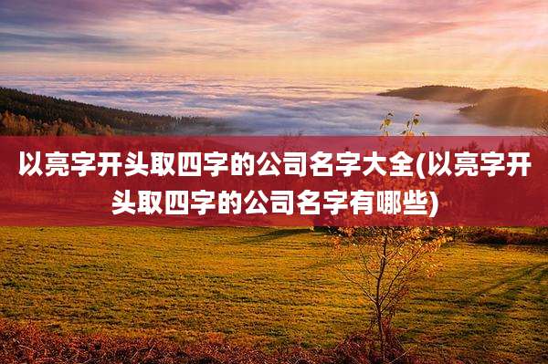 以亮字开头取四字的公司名字大全(以亮字开头取四字的公司名字有哪些)