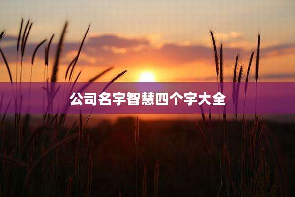 公司名字智慧四个字大全
