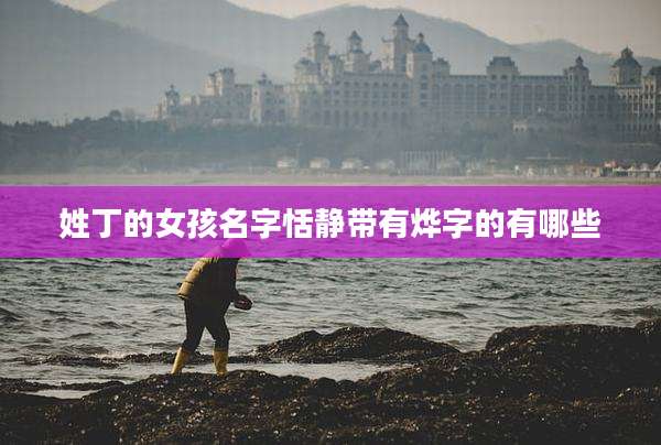 姓丁的女孩名字恬静带有烨字的有哪些