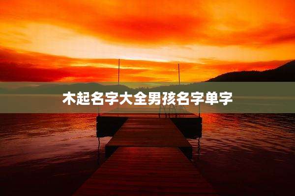 木起名字大全男孩名字单字