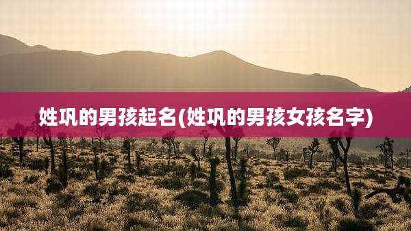 姓巩的男孩起名(姓巩的男孩女孩名字)
