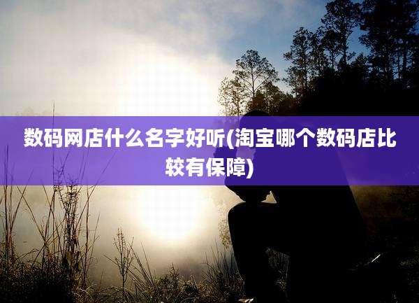 数码网店什么名字好听(淘宝哪个数码店比较有保障)
