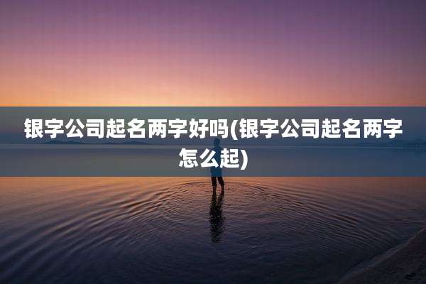 银字公司起名两字好吗(银字公司起名两字怎么起)