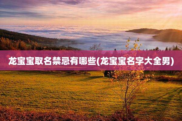 龙宝宝取名禁忌有哪些(龙宝宝名字大全男)