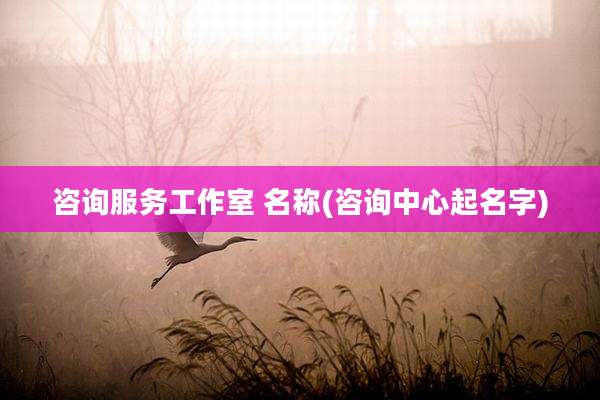 咨询服务工作室 名称(咨询中心起名字)